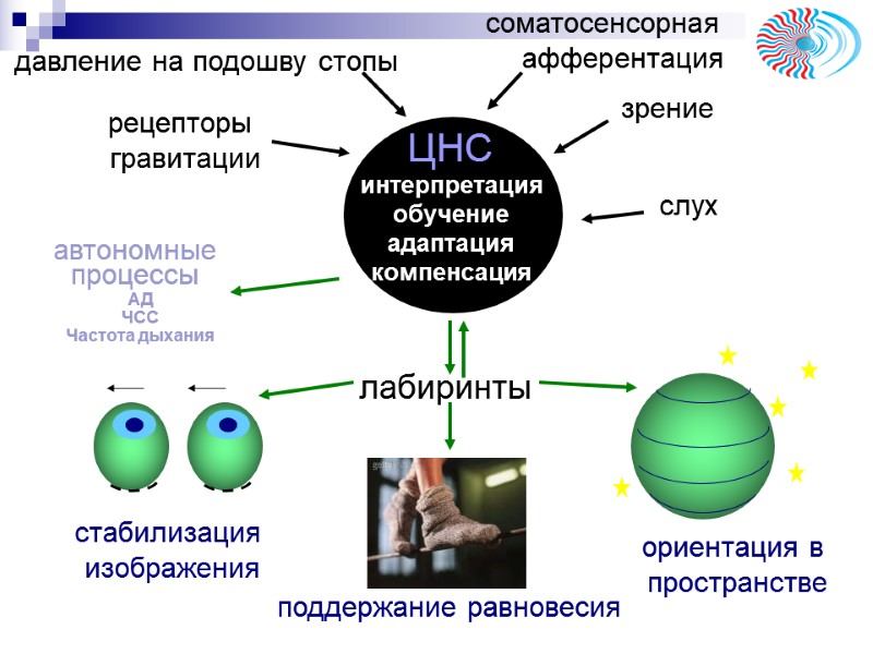 стабилизация изображения поддержание равновесия ориентация в стабилизация изображения поддержание равновесия ориентация в